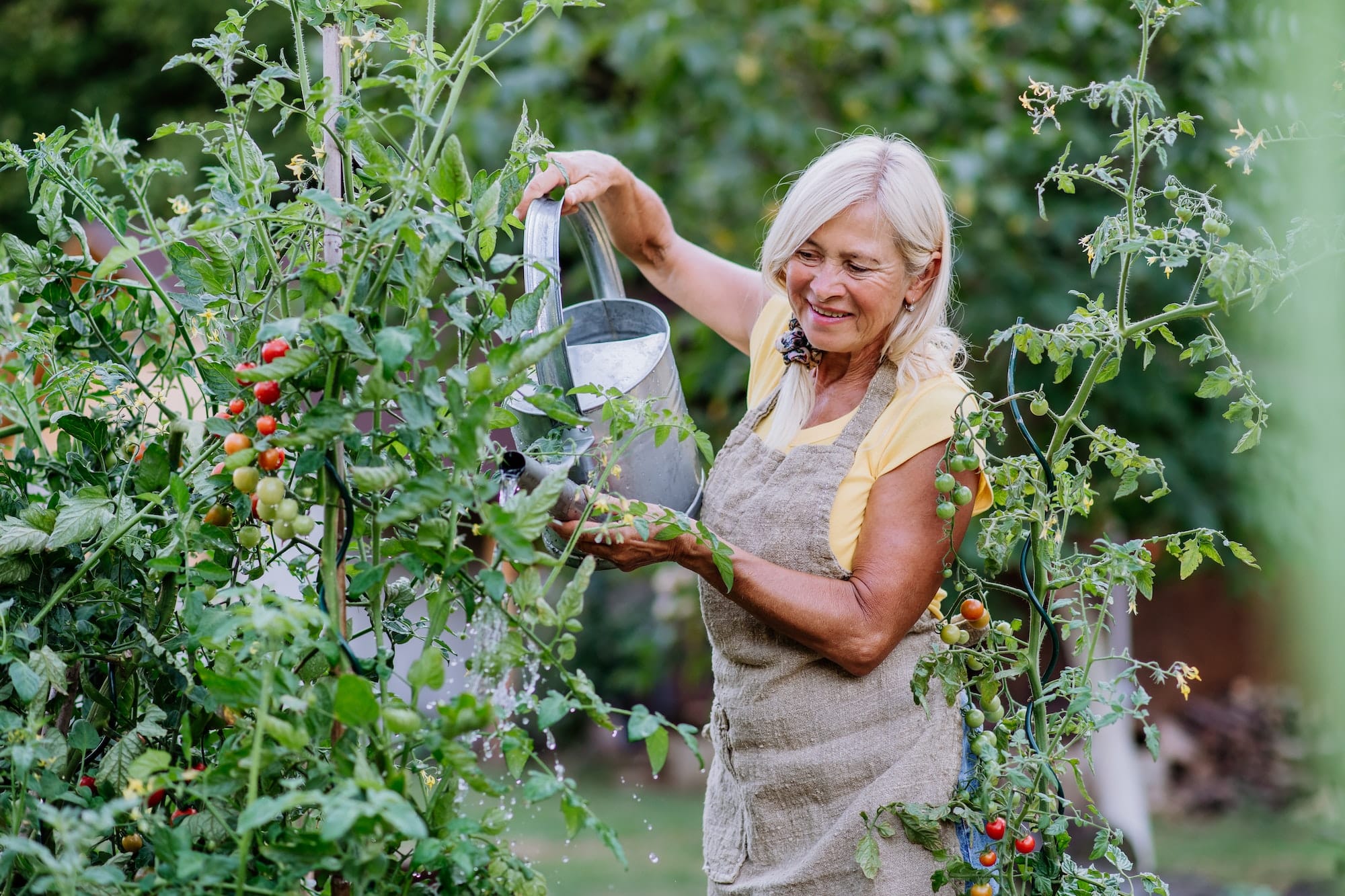 5 astuces pour économiser l’eau au jardin : des gestes simples pour préserver notre ressource précieuse