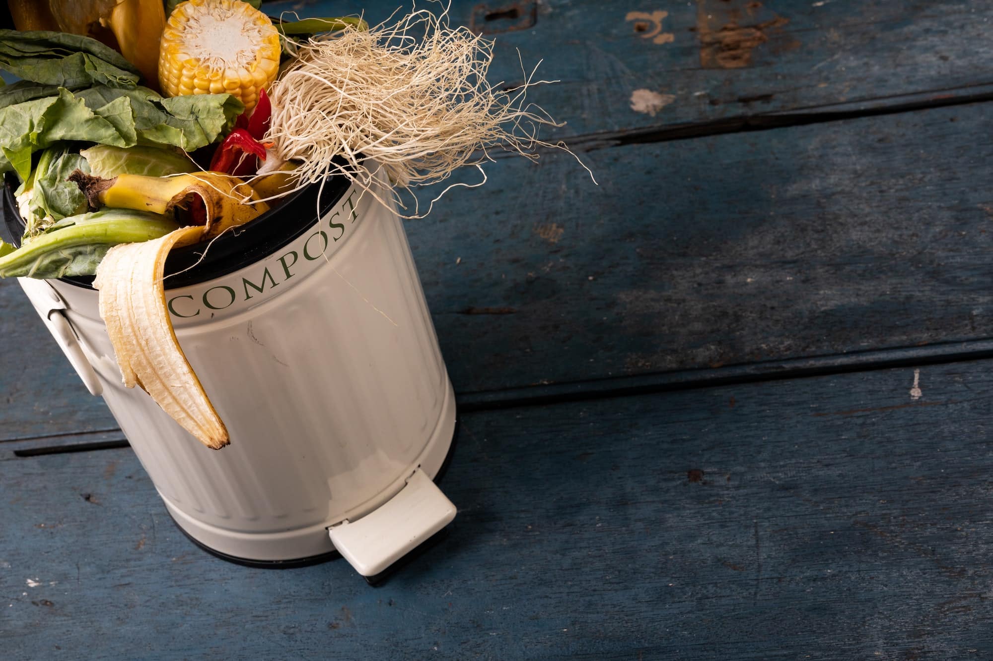 Acheter une poubelle de compost : quels sont les déchets à jeter dedans ?
