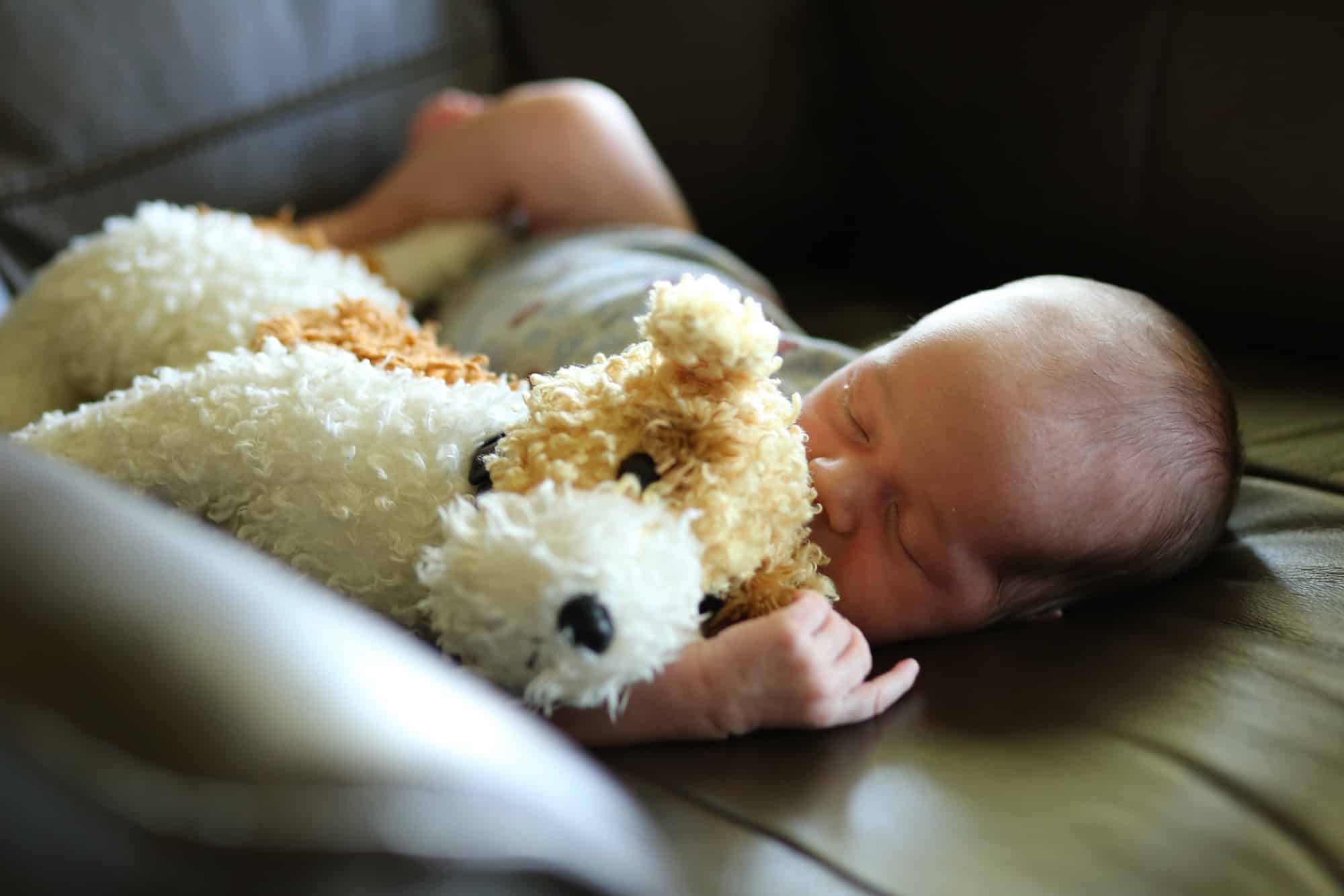 En quoi les peluches sont bénéfiques ?